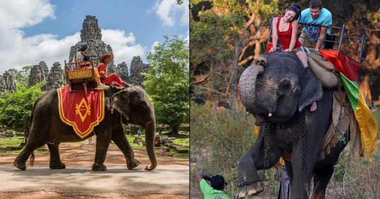 Tourists Can No Longer Take Elephant Rides At Angkor Wat In Cambodia Starting 2020
