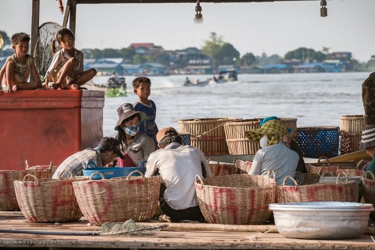 Cambodia’s Historically Abundant Freshwater Fisheries are Disappearing
