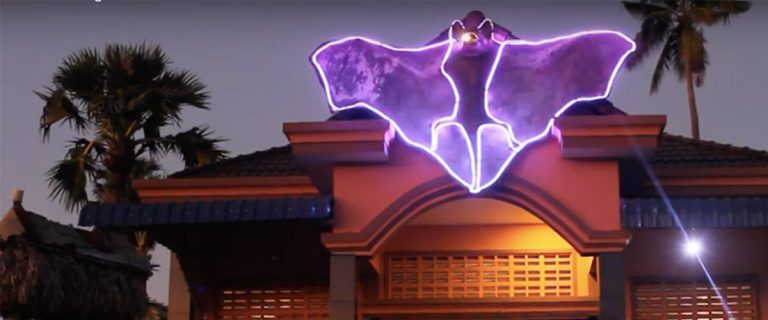 Cambodian “bat man” bolsters the fight against dengue fever