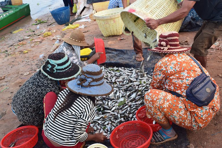 As fish disappear from rivers and lakes, fishers struggle with livelihoods