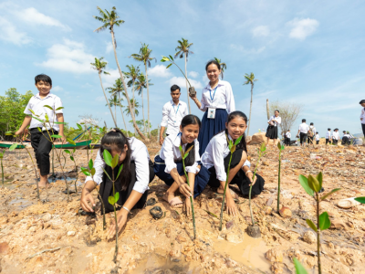 How mangroves, mud and music are helping to conserve Cambodia’s coastline