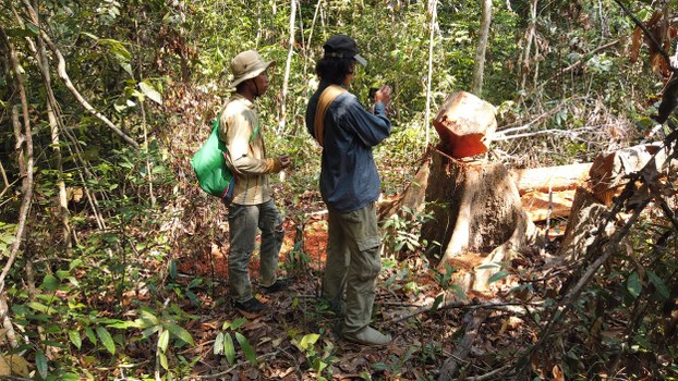 Authorities Threaten to Arrest Activists Monitoring Illegal Logging in Cambodia’s Prey Lang Forest