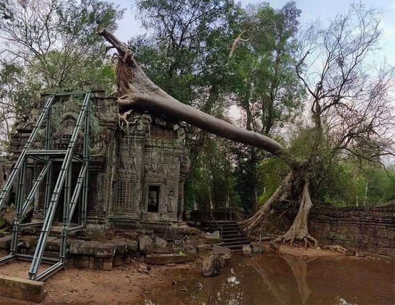 Trees Fall on Angkor Wat Temples During Cambodian New Year