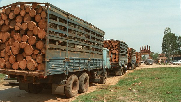 University of Copenhagen warns illegal logging in Cambodia