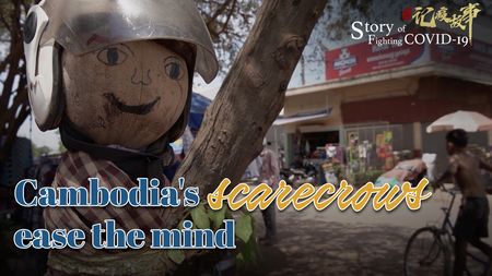 Story of Fighting COVID-19: Cambodia’s scarecrows ease the mind (video)