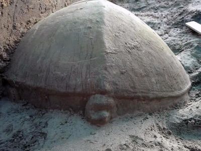 Archaeologists unearth ancient tortoise statue at Cambodia’s Angkor complex