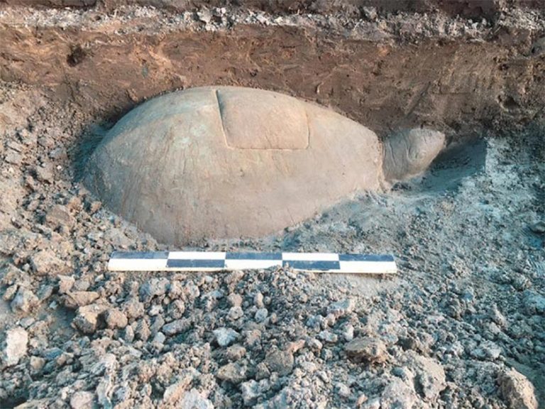 Rare Turtle Statue Found Submerged in Angkor Reservoir
