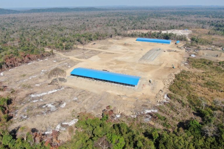 Cambodian firm accused of creating a ‘monopoly in the timber business’