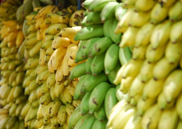 Demand for Cambodian bananas surge