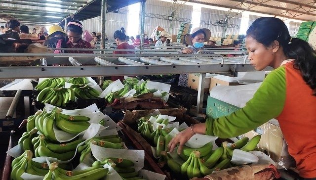 Vietnamese enterprise in Cambodia creates stable jobs for 3,500 locals