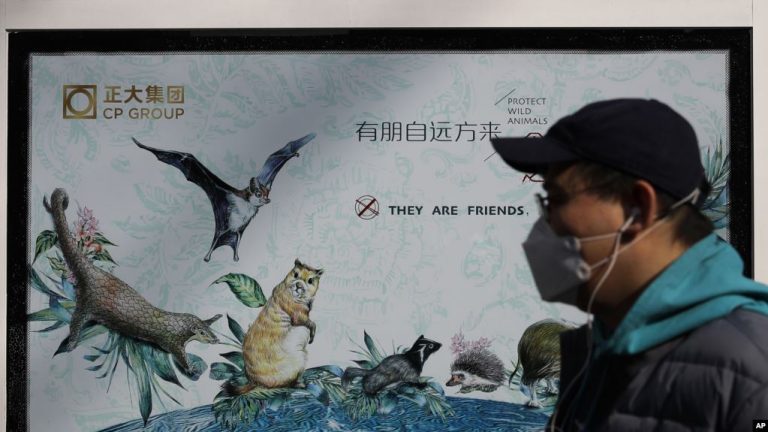 Survey Backs Calls to End Illegal Wildlife Markets