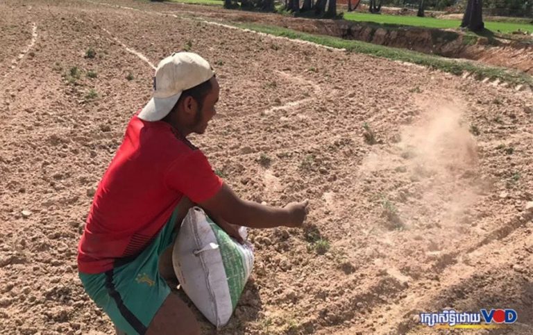‘Worse Than Covid-19’: Kampong Cham Farmers Fear Impact of Droughts
