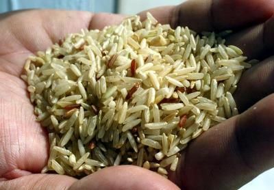 Cambodia’s rice export up 41 per cent in first half of 2020