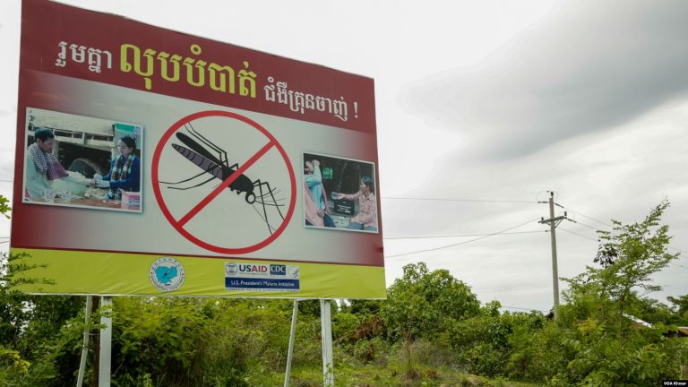 Battambang Malaria Cases May be Linked to Rare, but Treatable, Parasite