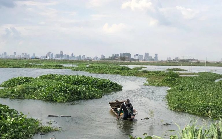 Phnom Penh Lakes, Livelihoods Threatened by Urban Development: Report