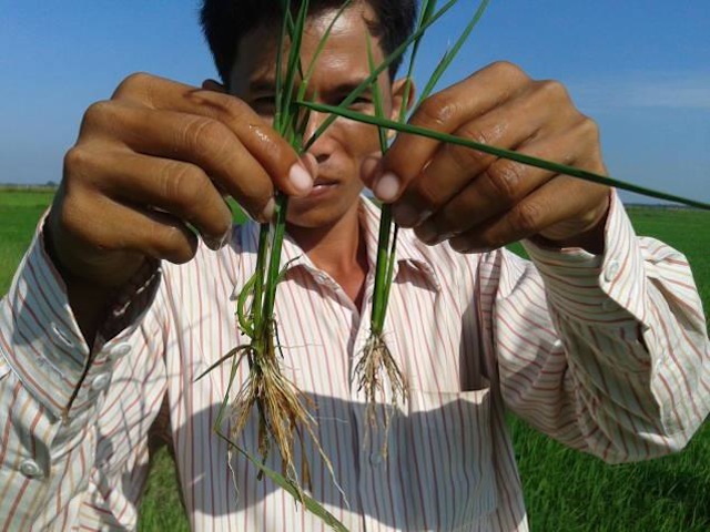 Cambodia’s RM awardee: Beyond toxic fertilizers