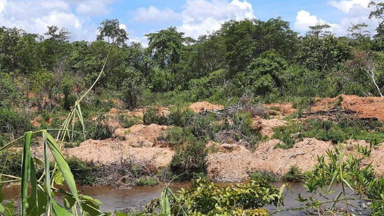 Battambang timber-hunting trader implicated in illegal mining - The ...