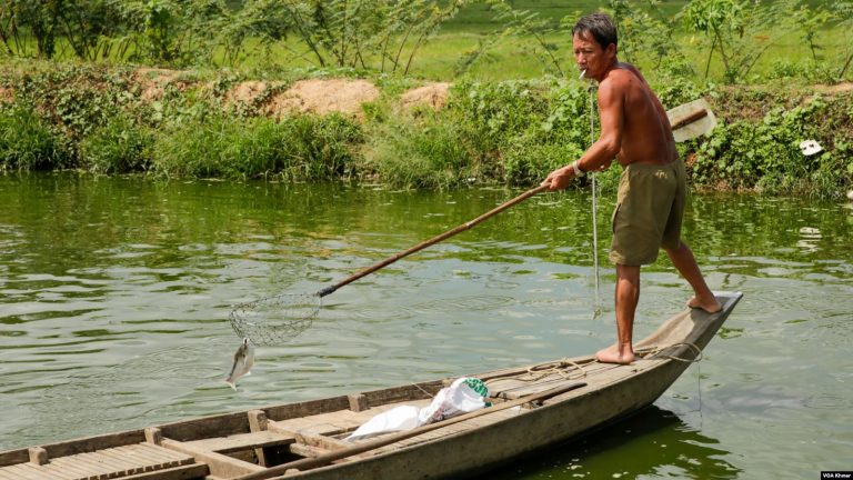 Prey Veng Rice Farmers Switch to Fish Despite Uncertainty Over Export Potential