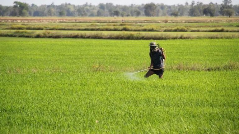 How Cambodia can revive agriculture with big data