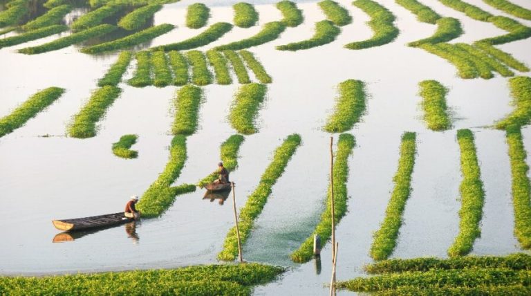 Cambodia is optimizing farming yields with big data insights