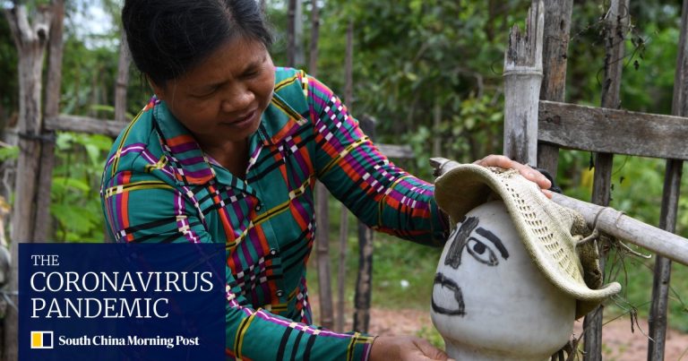 In Cambodia, coronavirus ‘scarecrows’ deployed by farmers to ward off infection  (video)