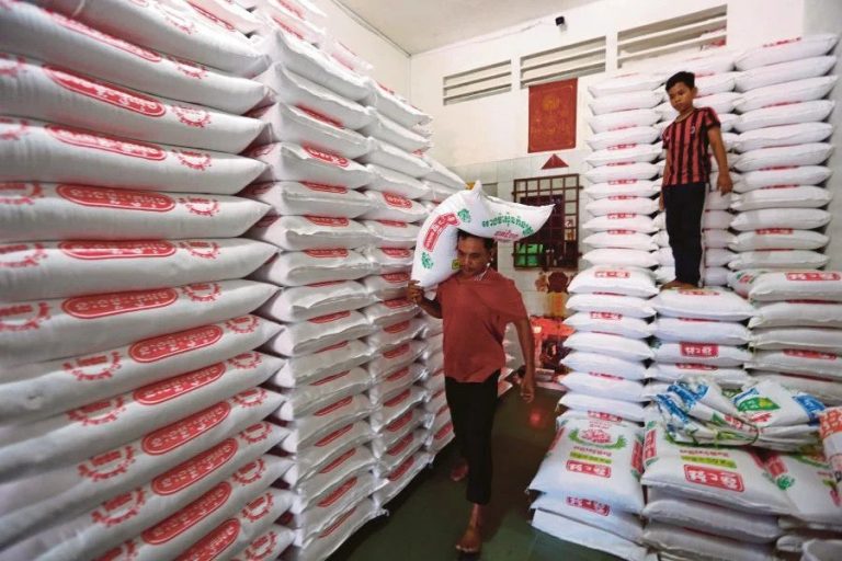 Cambodia struggles to market rice