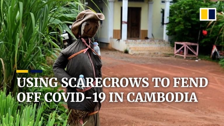 Cambodians use scarecrows to scare away the coronavirus