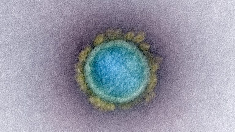 Cambodia receives 600,000 doses of coronavirus vaccines from China