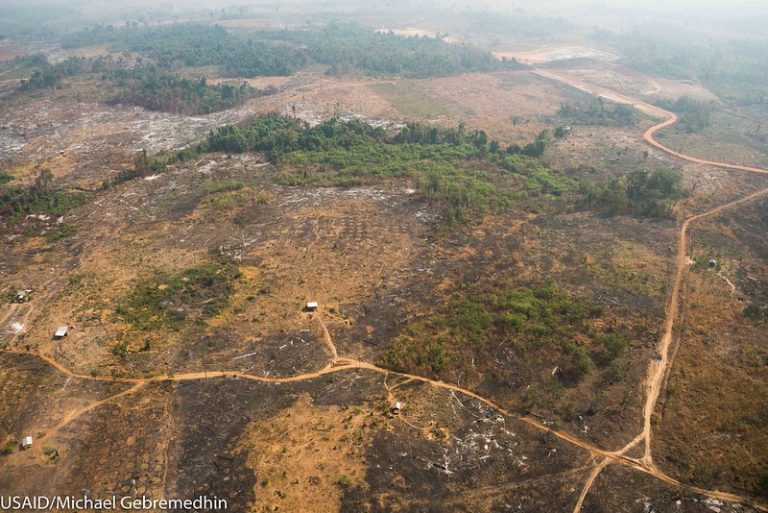U.S. ends Cambodia aid programme over deforestation, arrests
