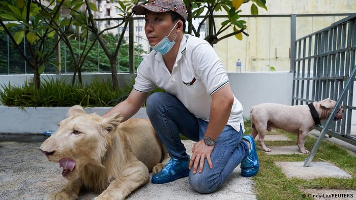 Pet lion returned to owner after Cambodia PM intervenes