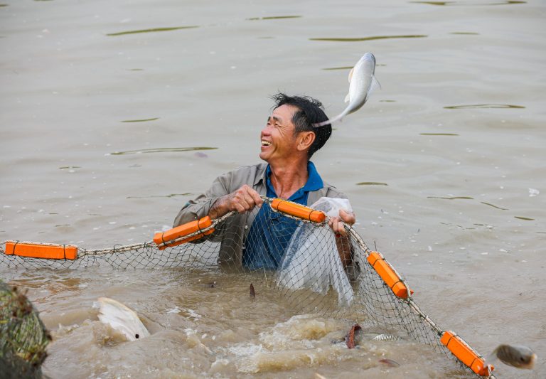 Cambodia’s Tonle Sap Lake receives a record fish release