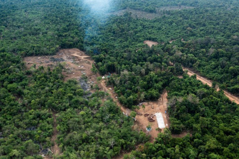 Large-scale logging in Cambodia’s Prey Lang linked to politically-connected mining operation