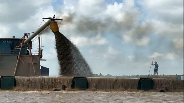 Mekong River in jeopardy: Sand-pumping operations ravage ecosystem (video)