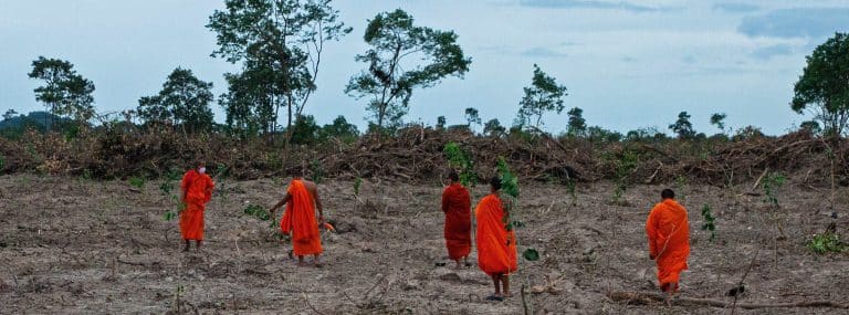 Cambodian government cancels development of Phnom Tamao forest amid outcry