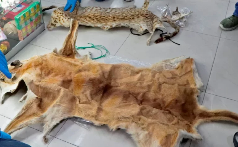 Cambodian people urged to help end snaring and wildlife trafficking