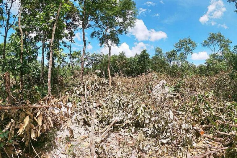 Cambodian PM scraps development project threatening wildlife sanctuary