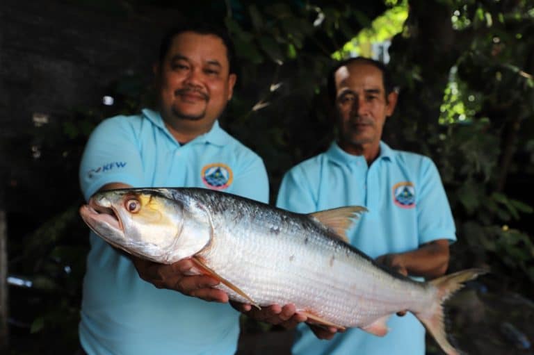 ‘Mekong Ghost’ Rediscovered in Fish Market After Being Lost for 18 Years