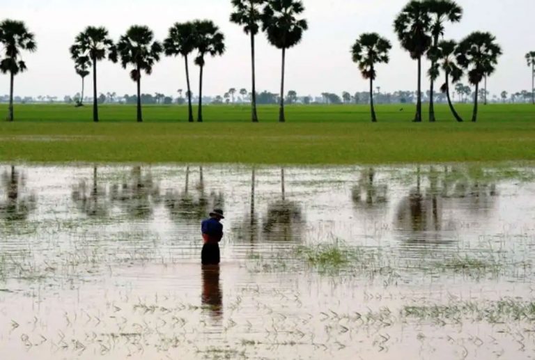 Cambodia sacks agriculture minister amid floods