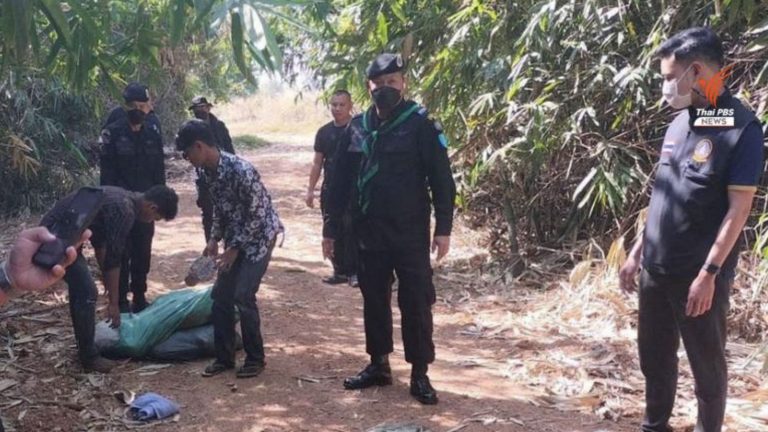 Two Cambodians found with 1.1 tonnes of smuggled pork near border