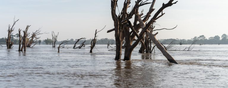 Upstream dams are drowning Cambodia’s protected flooded forest