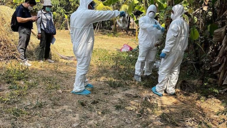 Experts say bird flu threat small despite Cambodian fatality