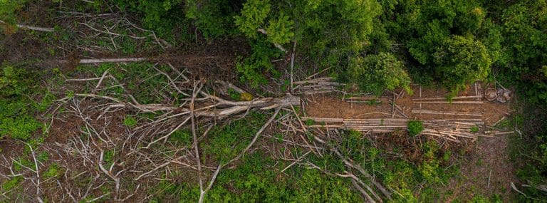 Communities track a path of destruction through a Cambodian wildlife sanctuary