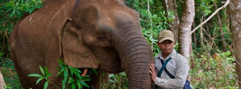Video: A sanctuary for elephants and forests in Cambodia