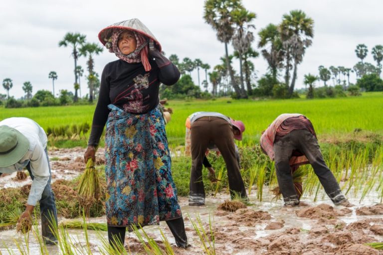 Cambodia Microfinance Association Findings Mark Retreat From Poverty Reduction Claims