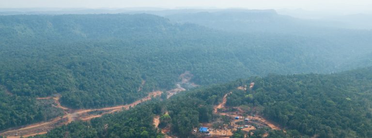 Protected areas bear the brunt as forest loss continues across Cambodia