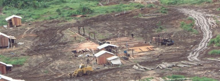 Cambodian environment minister bans logging at tycoon’s Cardamoms hydropower project