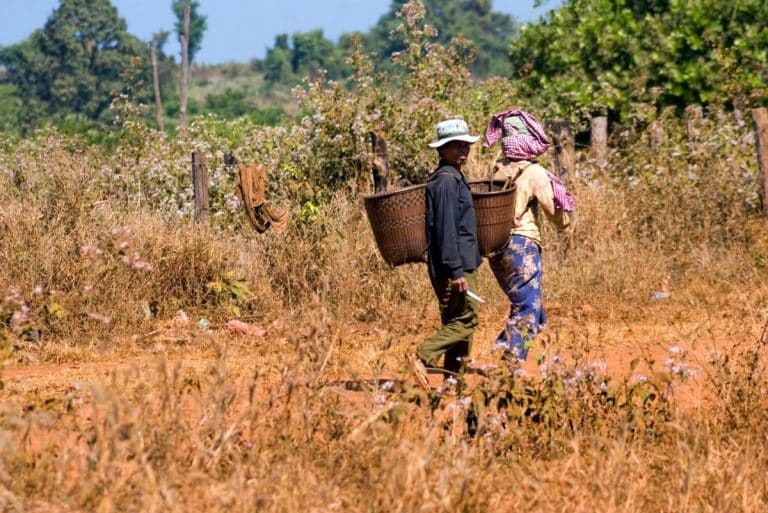 Green bonds, red flags: Cambodia’s microfinance crisis deepens amid sustainability push