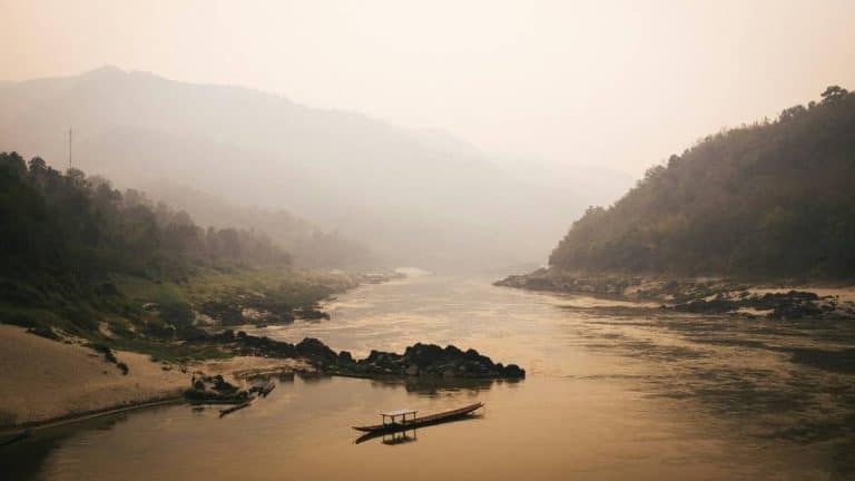‘Mega’ creature — thought to be extinct — rediscovered in East Asia river. See it