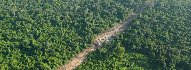 New transmission lines cut a Cambodian rainforest sanctuary in half