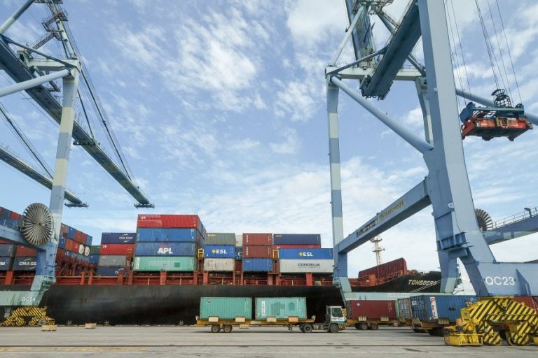 Cambodia’s exports to RCEP members up 14.4pct in first 11 months of 2024